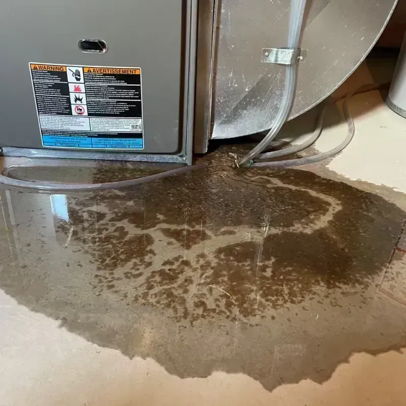 Appliance Leak Cleanup in San Miguel County, CO